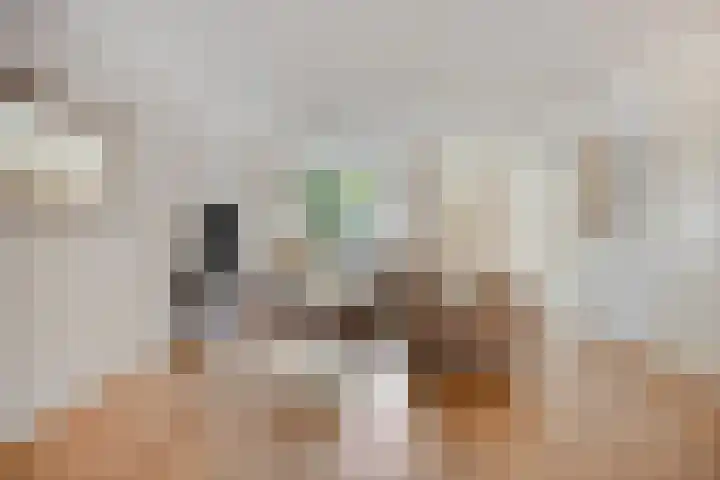 Haskerlandstraat 5 Tilburg thumbnail 8