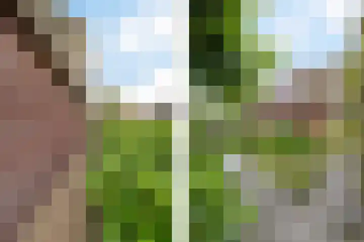 Haskermieden 1 Oudehaske thumbnail 10