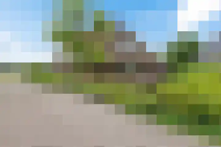 Haskermieden 1 Oudehaske thumbnail 12