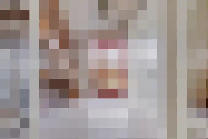 Haskermieden 1 Oudehaske thumbnail 14