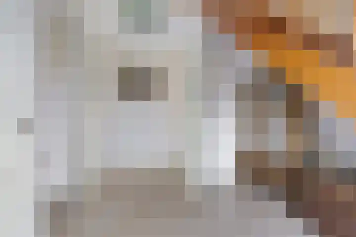 Haskermieden 1 Oudehaske thumbnail 16