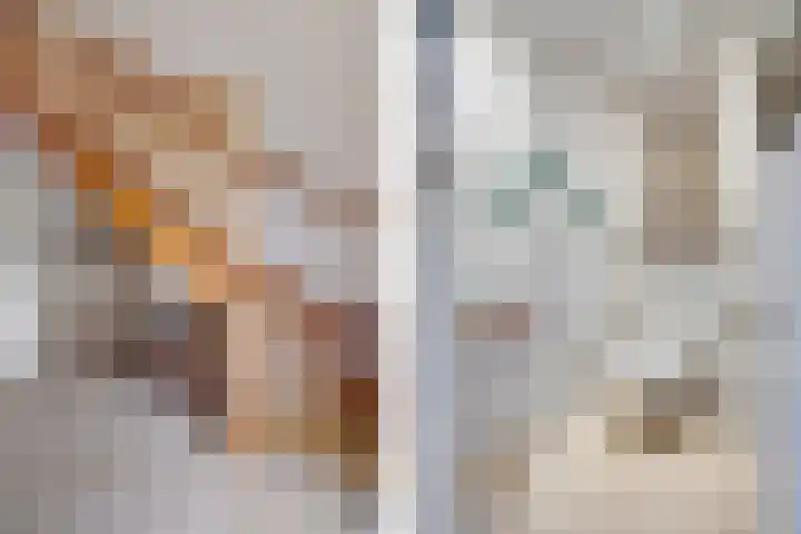 Haskermieden 1 Oudehaske thumbnail 17