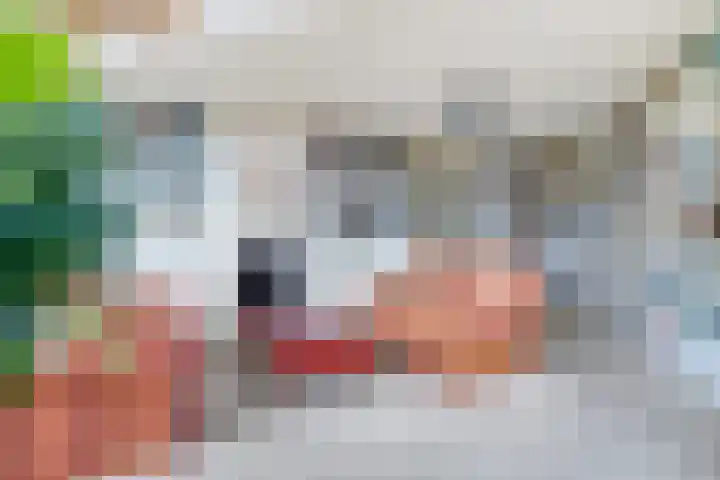 Haskermieden 1 Oudehaske thumbnail 18