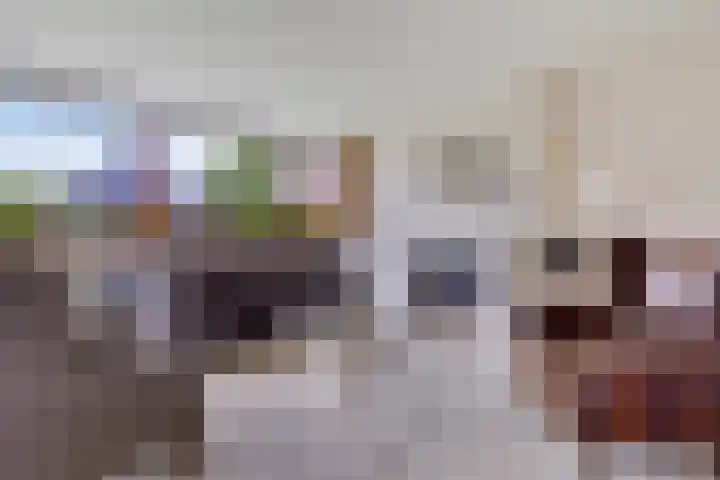 Haskermieden 1 Oudehaske thumbnail 20