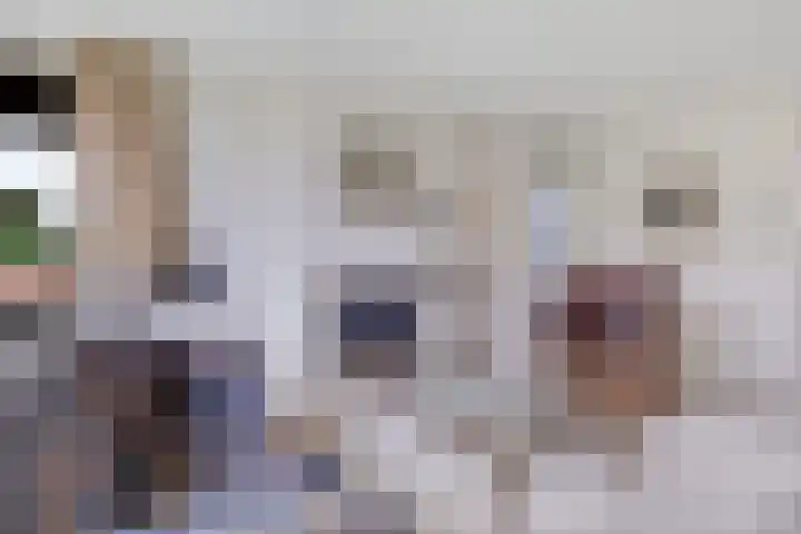 Haskermieden 1 Oudehaske thumbnail 21