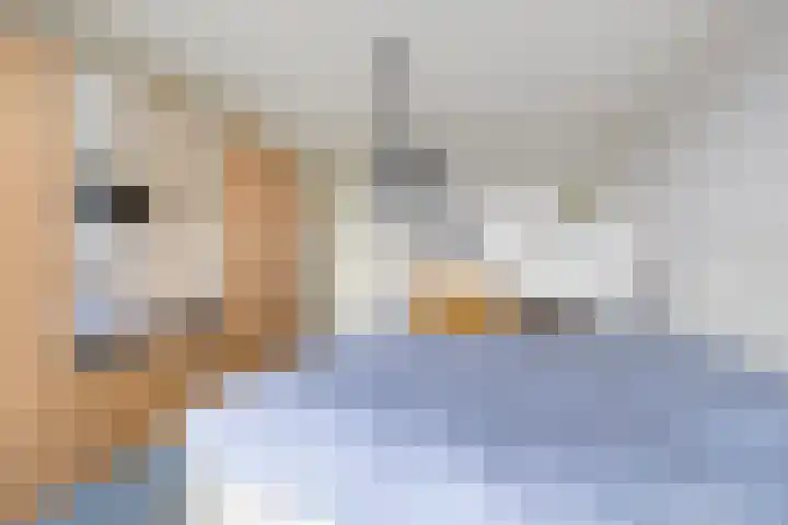 Haskermieden 1 Oudehaske thumbnail 27