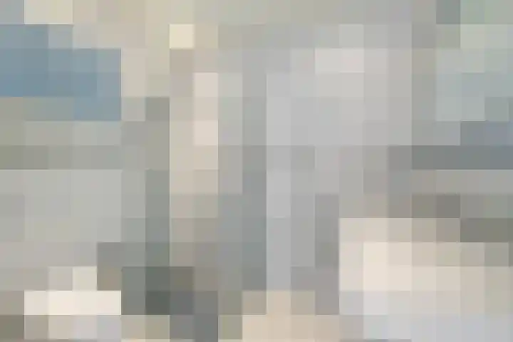 Haskermieden 1 Oudehaske thumbnail 29