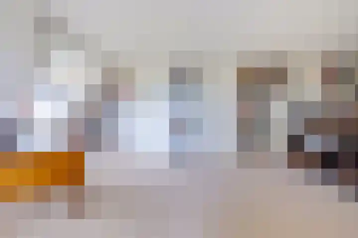 Haskermieden 1 Oudehaske thumbnail 30