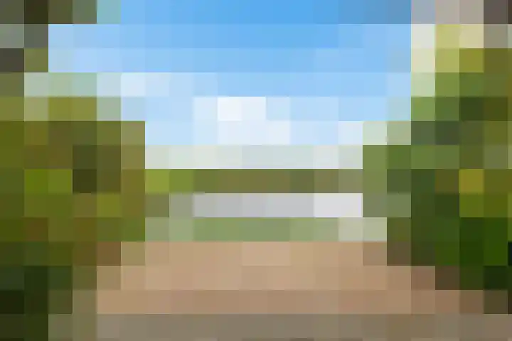 Haskermieden 1 Oudehaske thumbnail 38