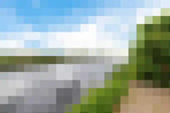 Haskermieden 1 Oudehaske thumbnail 39