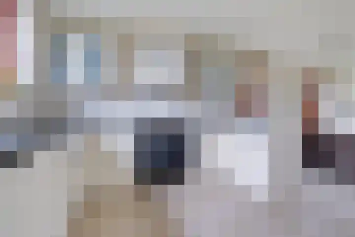 Haskermieden 1 Oudehaske thumbnail 4