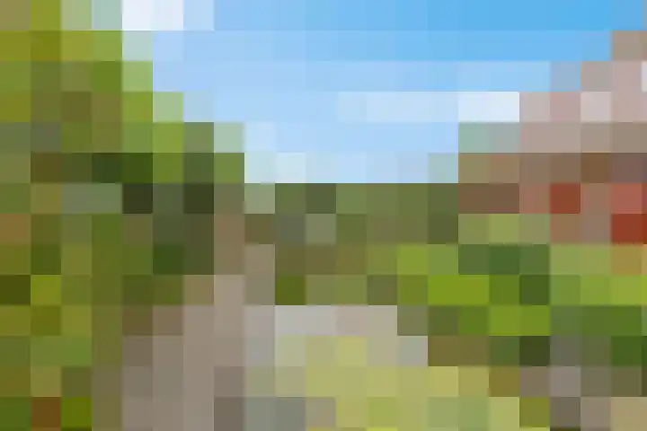 Haskermieden 1 Oudehaske thumbnail 40