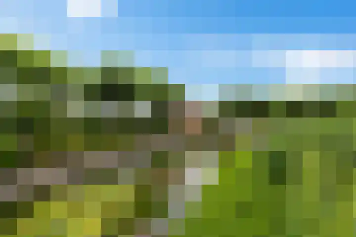 Haskermieden 1 Oudehaske thumbnail 41