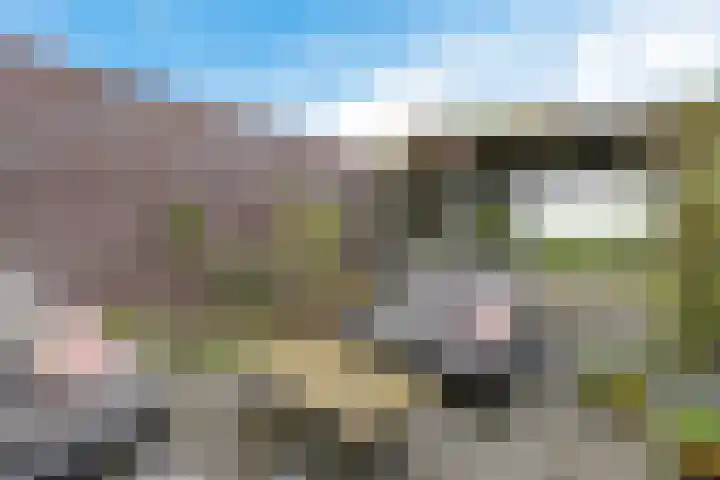 Haskermieden 1 Oudehaske thumbnail 42
