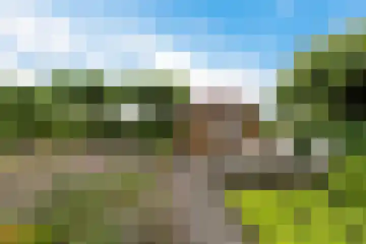 Haskermieden 1 Oudehaske thumbnail 43