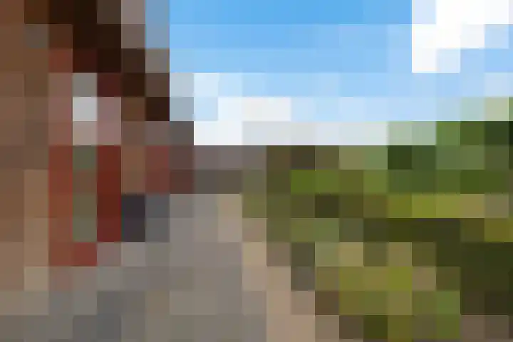 Haskermieden 1 Oudehaske thumbnail 44
