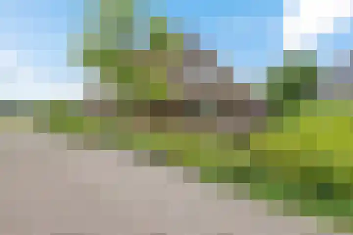 Haskermieden 1 Oudehaske thumbnail 45