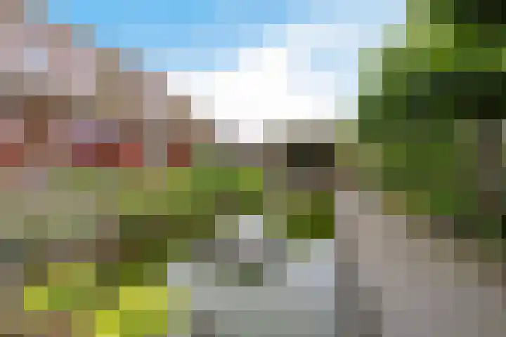 Haskermieden 1 Oudehaske thumbnail 5