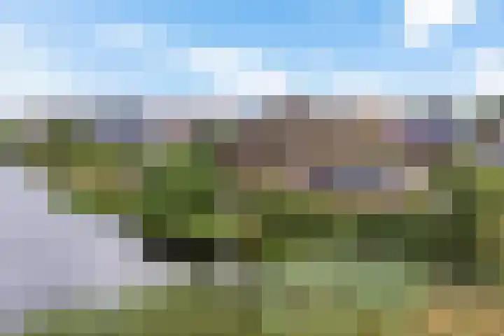 Haskermieden 1 Oudehaske thumbnail 52
