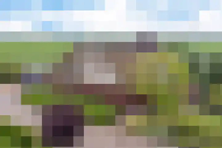 Haskermieden 1 Oudehaske thumbnail 6