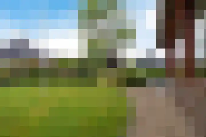 Haskermieden 1 Oudehaske thumbnail 7