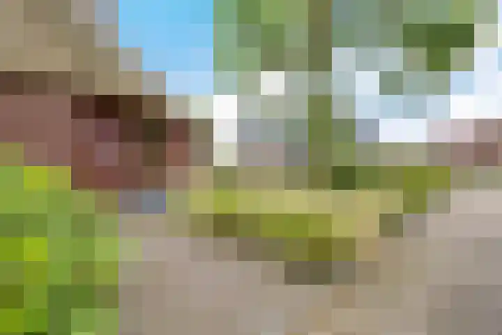 Haskermieden 1 Oudehaske thumbnail 8