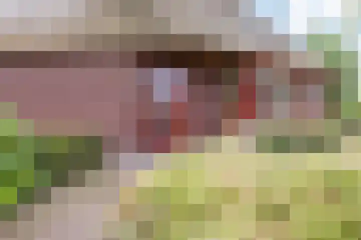 Haskermieden 1 Oudehaske thumbnail 9