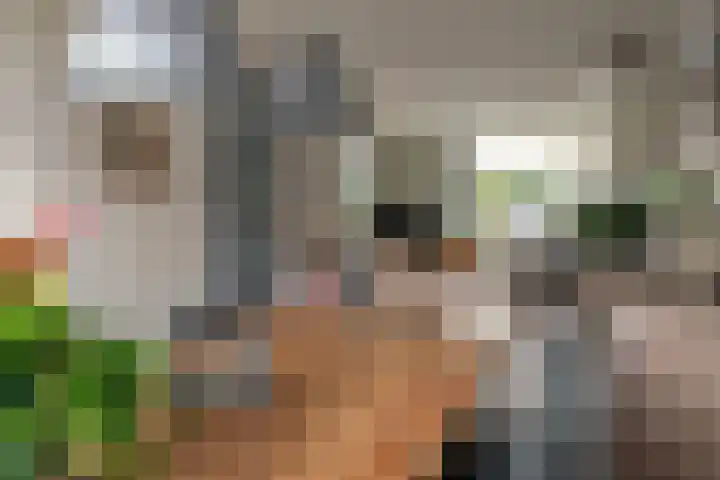 Haskermieden 26 Oudehaske thumbnail 10