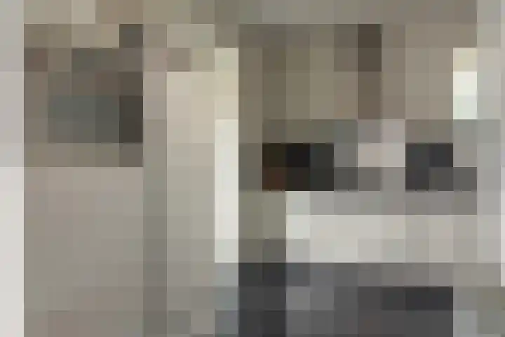 Haskermieden 26 Oudehaske thumbnail 11