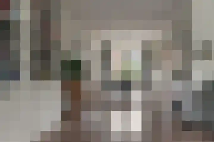 Haskermieden 26 Oudehaske thumbnail 13