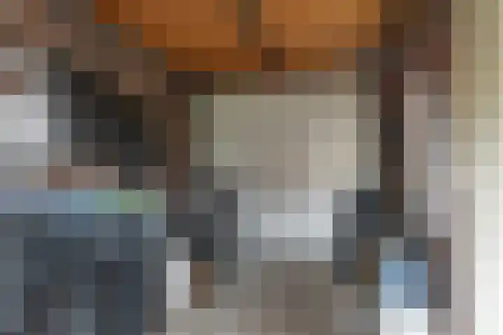 Haskermieden 26 Oudehaske thumbnail 15