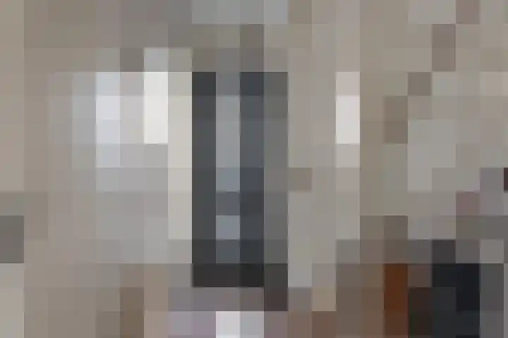 Haskermieden 26 Oudehaske thumbnail 16