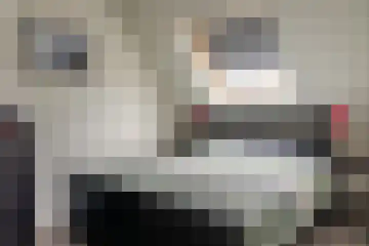 Haskermieden 26 Oudehaske thumbnail 18