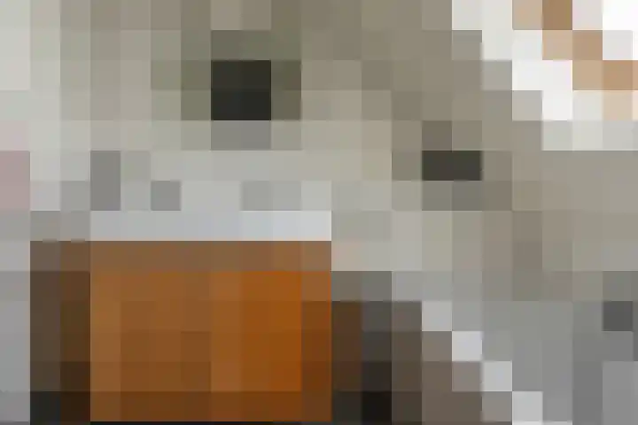 Haskermieden 26 Oudehaske thumbnail 21