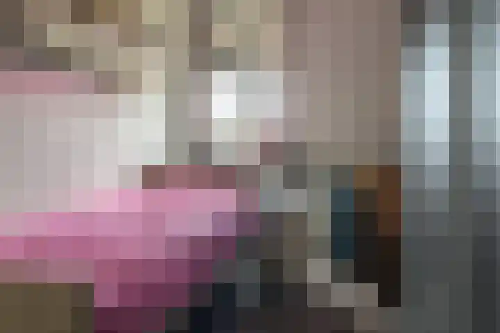 Haskermieden 26 Oudehaske thumbnail 23
