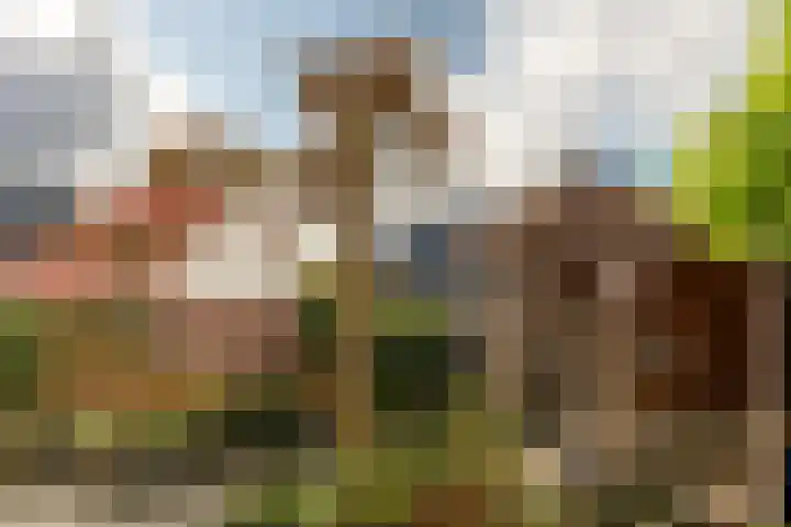 Haskermieden 26 Oudehaske thumbnail 25