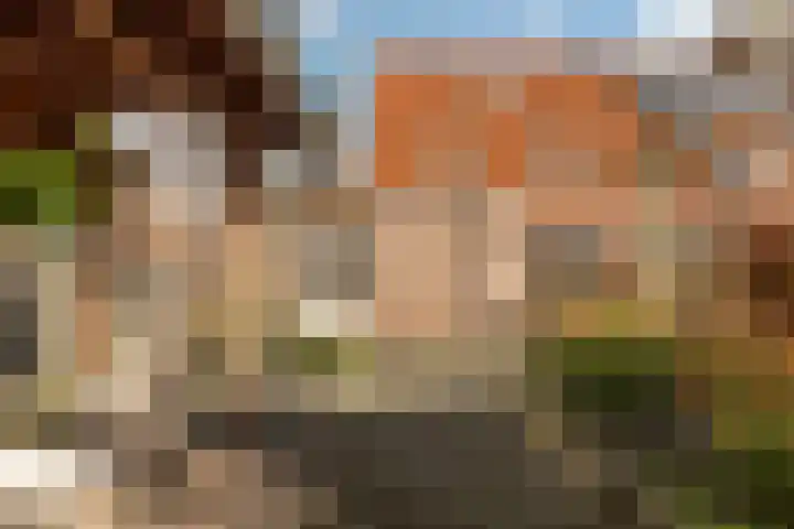 Haskermieden 26 Oudehaske thumbnail 26