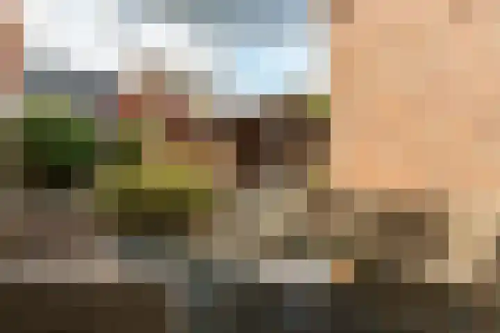Haskermieden 26 Oudehaske thumbnail 28