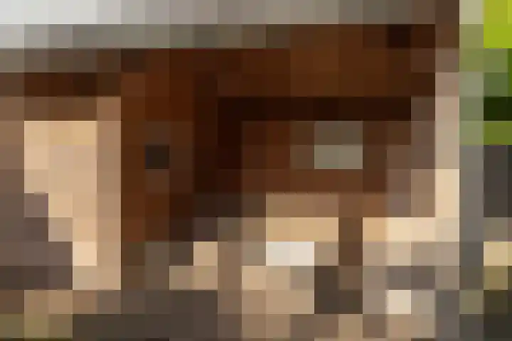 Haskermieden 26 Oudehaske thumbnail 30