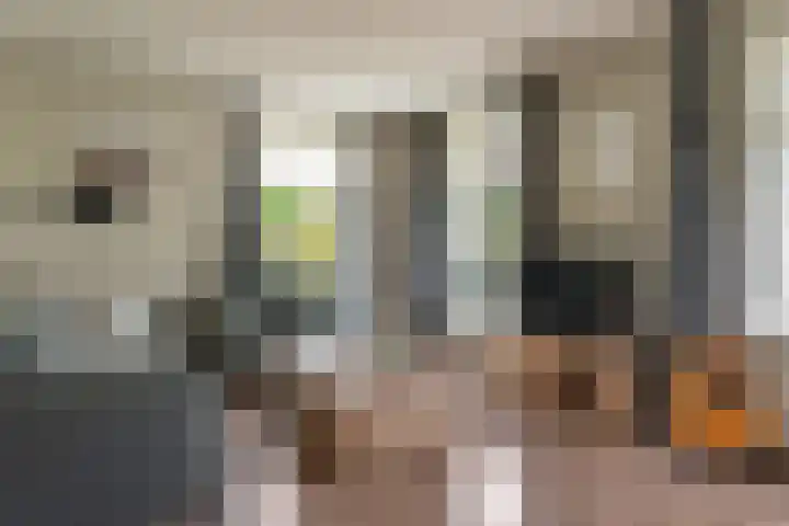 Haskermieden 26 Oudehaske thumbnail 4