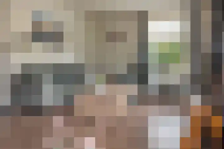 Haskermieden 26 Oudehaske thumbnail 5