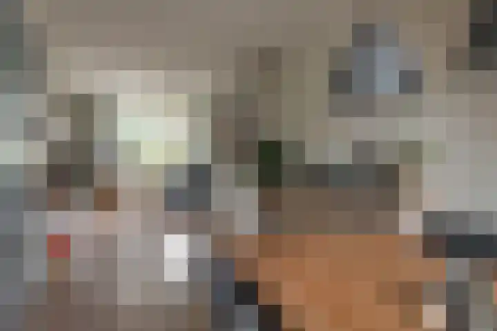 Haskermieden 26 Oudehaske thumbnail 9