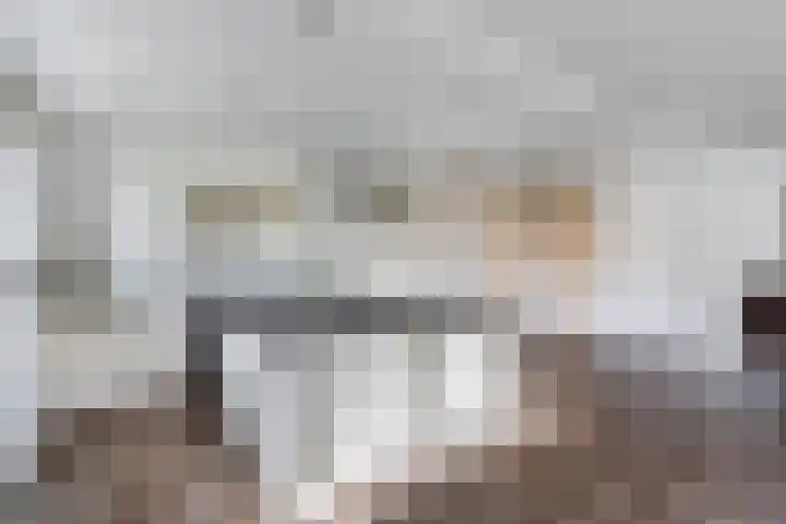 Haskermieden 6 Oudehaske thumbnail 15