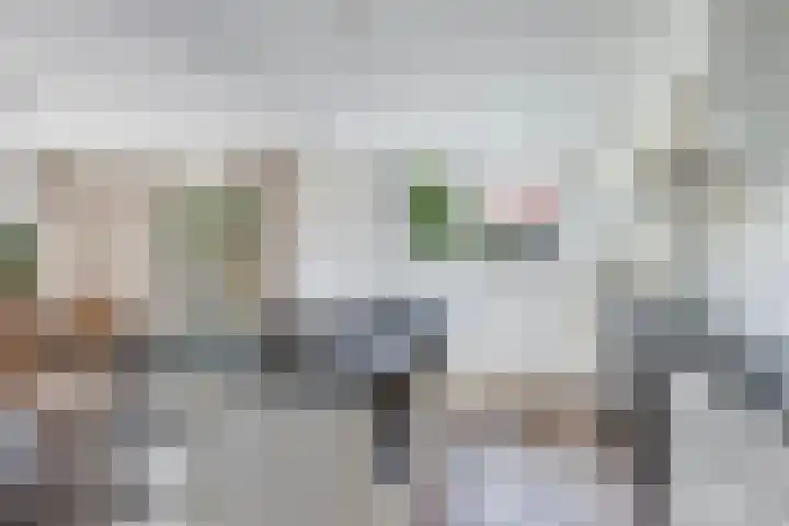 Haskermieden 6 Oudehaske thumbnail 16