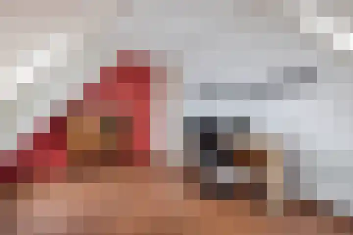 Haskermieden 6 Oudehaske thumbnail 29