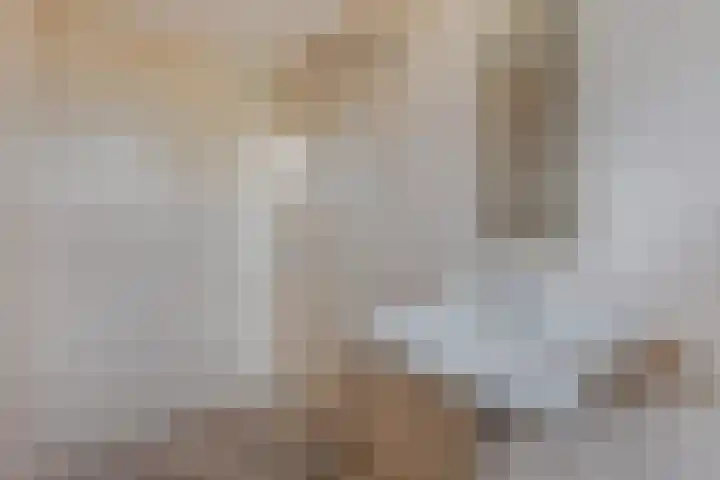 Haskermieden 6 Oudehaske thumbnail 30