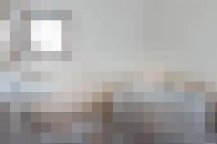 Haskermieden 6 Oudehaske thumbnail 32