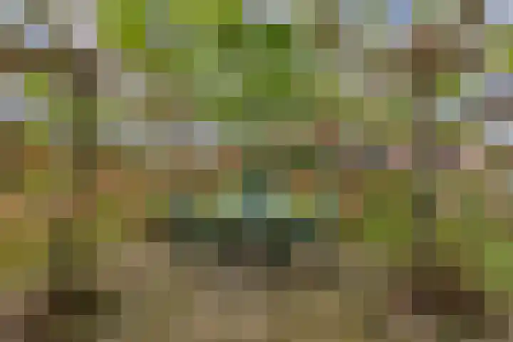 Haskermieden 6 Oudehaske thumbnail 36