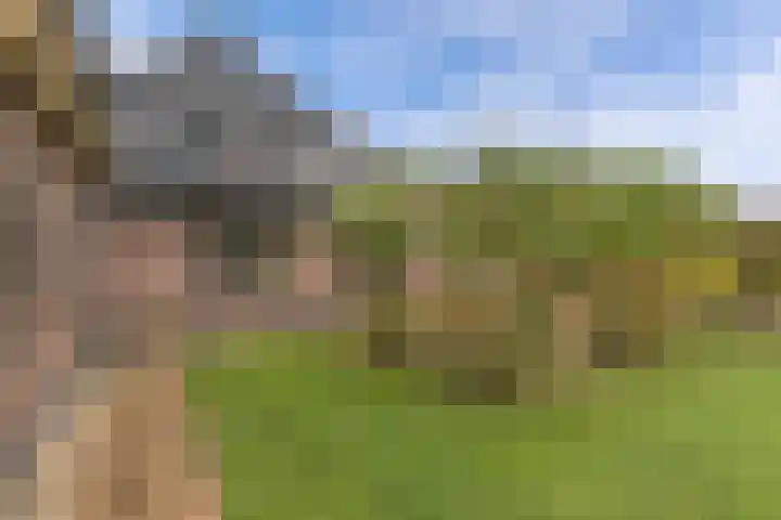 Haskermieden 6 Oudehaske thumbnail 41
