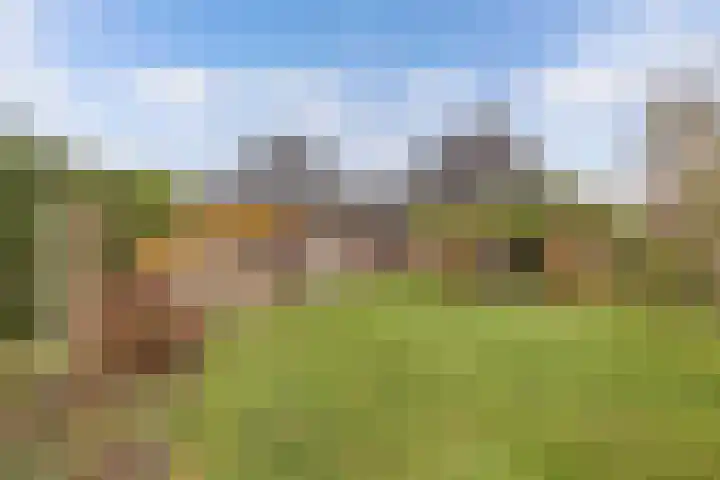 Haskermieden 6 Oudehaske thumbnail 42